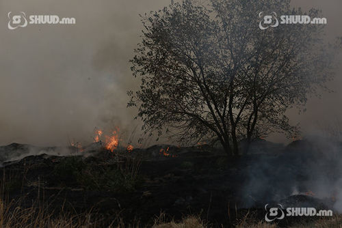 Төв, Увс аймагт гарсан ой хээрийн түймрийг унтраажээ